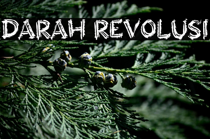 DARAH REVOLUSI Example 2