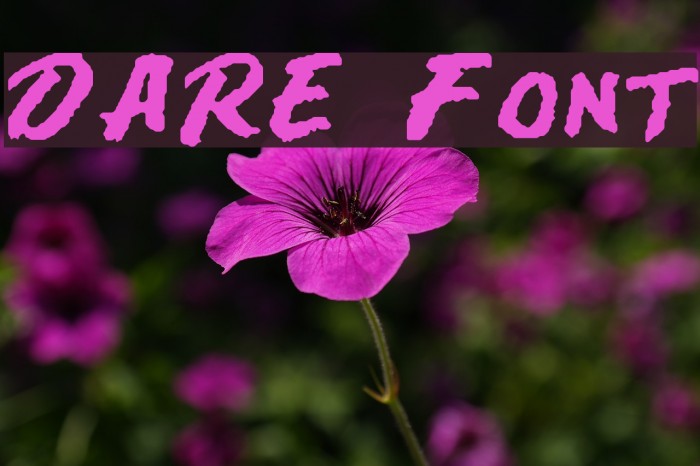 DARE Font examples