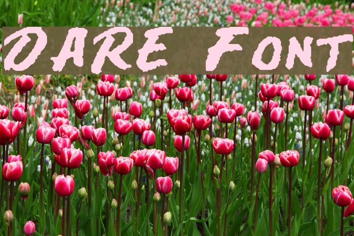 DARE Font examples