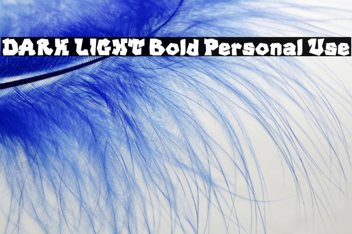 DARK LIGHT Bold Personal Use Example 1
