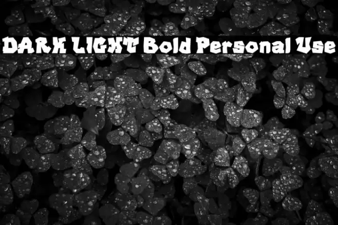 DARK LIGHT Bold Personal Use Font examples