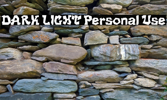 DARK LIGHT Personal Use Example 1