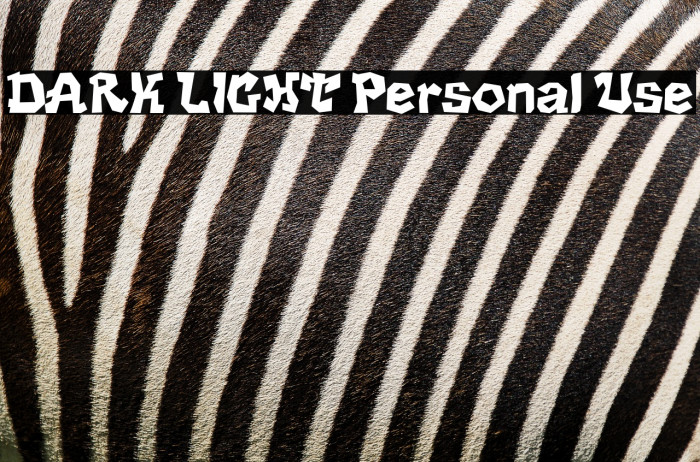 DARK LIGHT Personal Use Example 2
