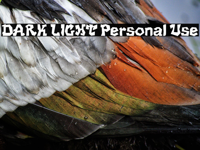 DARK LIGHT Personal Use Example 3