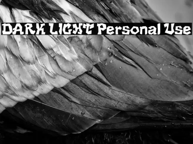 DARK LIGHT Personal Use Font examples