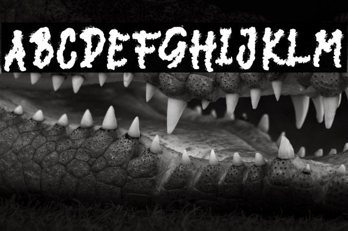 DARK NIGHT Example 1