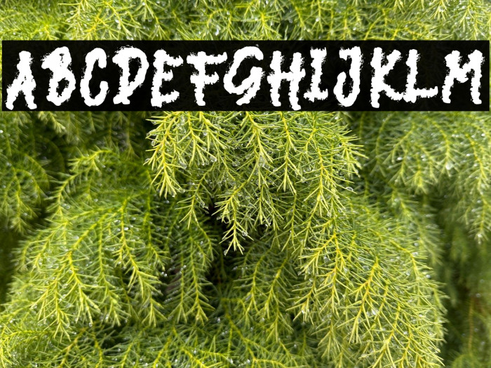 DARK NIGHT Example 2