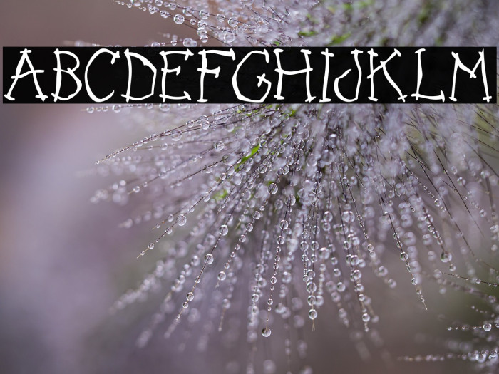 DARK PLACE_DEMO Example 2