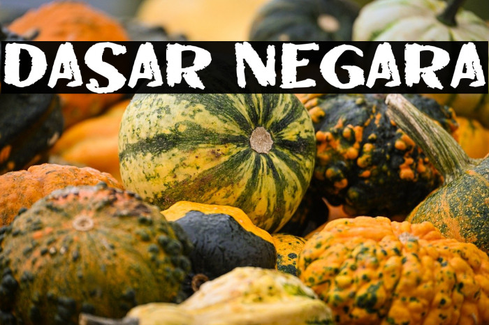 DASAR NEGARA Example 1