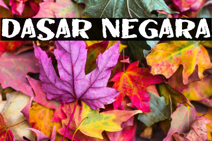 DASAR NEGARA Example 2