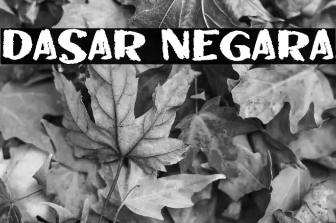 DASAR NEGARA Example 2