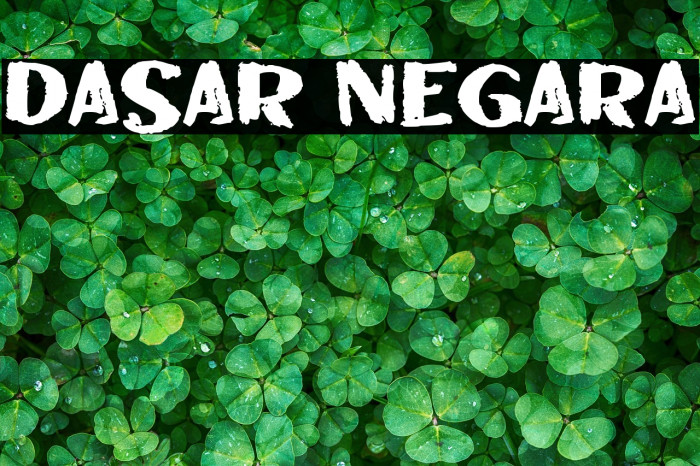 DASAR NEGARA Example 3