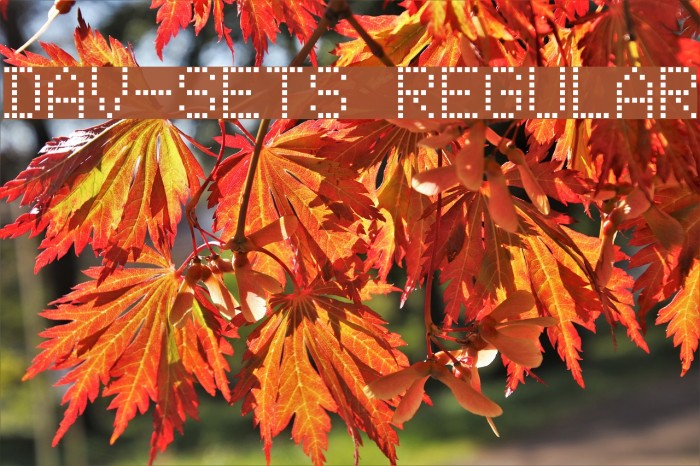 DAV-Sets Regular Example 1