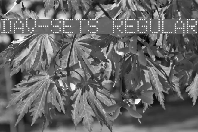 DAV-Sets Regular Font examples