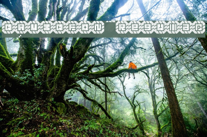 DAVIDFON Regular Example 1