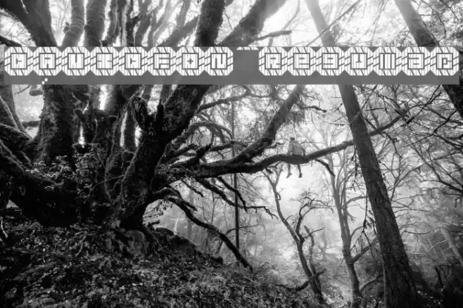 DAVIDFON Regular Font examples