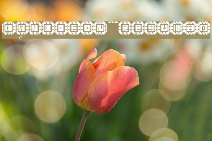 DAVIDFON Regular Example 2