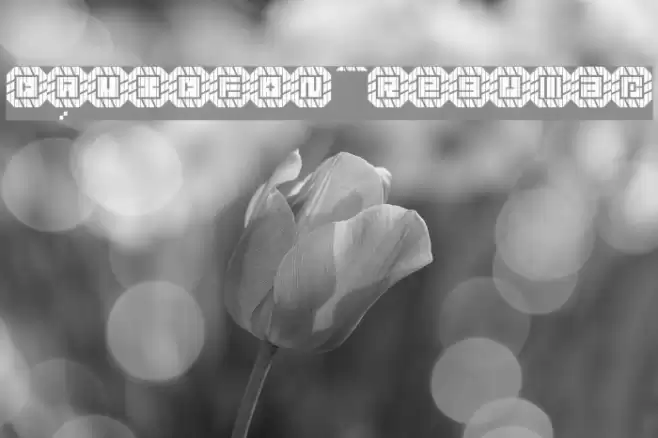 DAVIDFON Regular Font examples