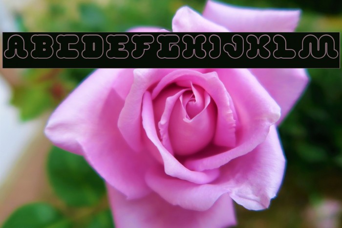 DAY DREAMER-Hollow Font examples