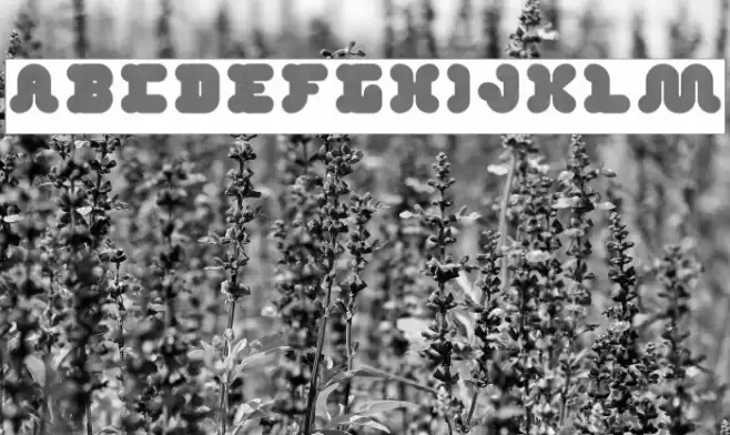 DAY DREAMER-Inverse Font examples