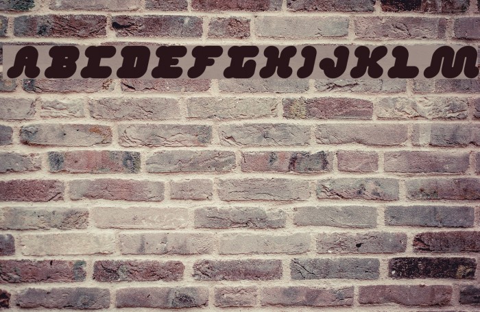 DAY DREAMER Italic Font examples