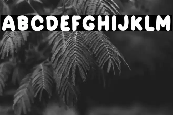 DAYSANS Font examples