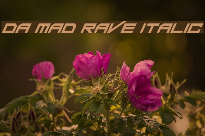 Da Mad Rave Italic Example 1