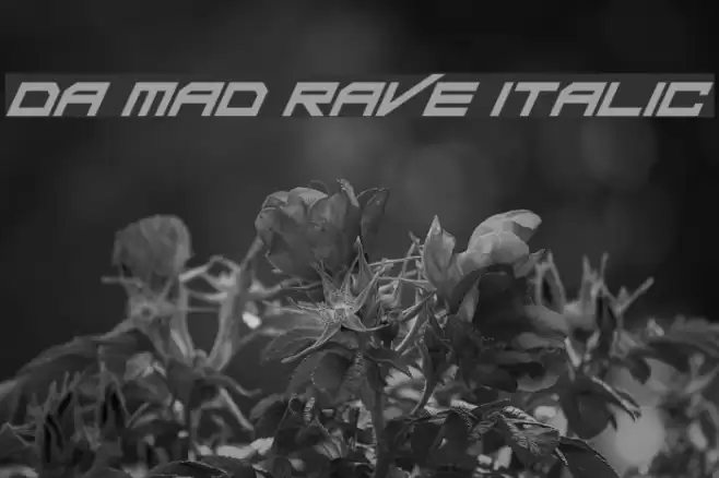 Da Mad Rave Italic Font examples