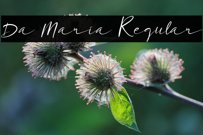 Da Maria Regular Example 3