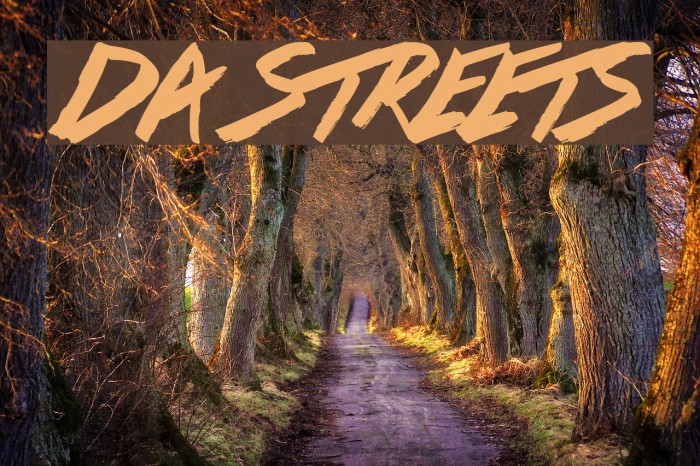 Da Streets Font examples