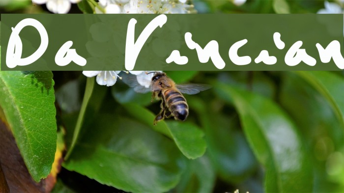 Da Vincian Font examples