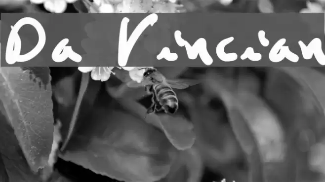 Da Vincian フォント examples