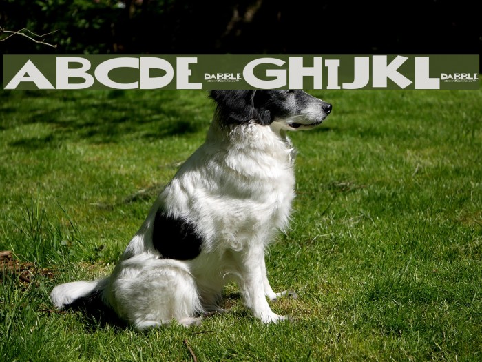 Dabble[eval] Font examples