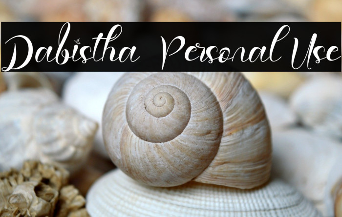 Dabistha - Personal Use Example 1