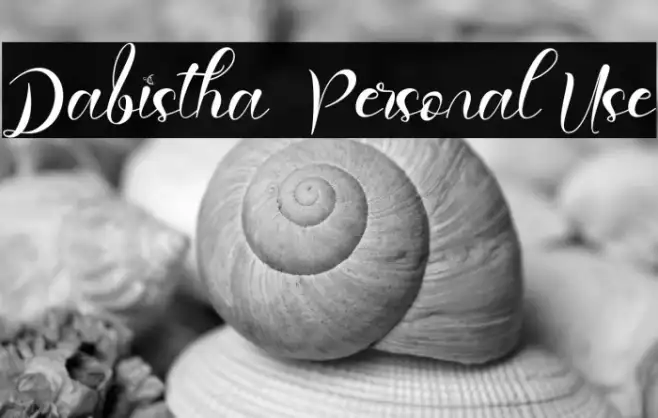 Dabistha - Personal Use Example 1