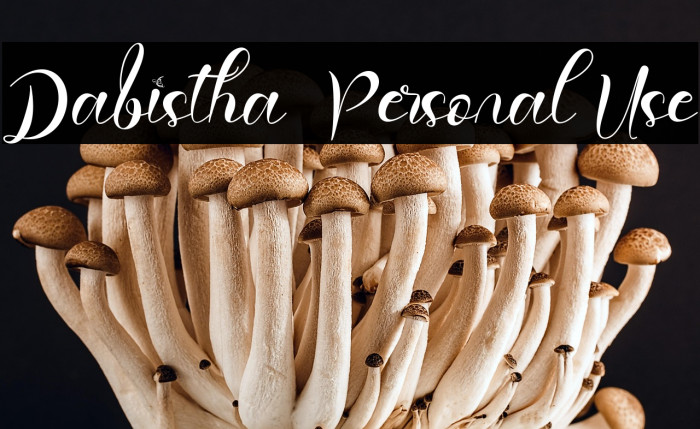 Dabistha - Personal Use Example 2