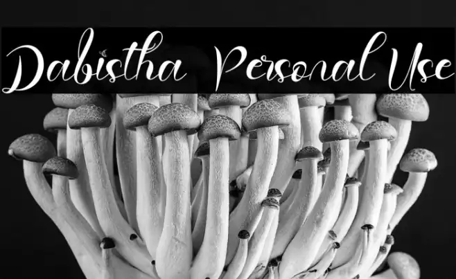 Dabistha - Personal Use Example 2