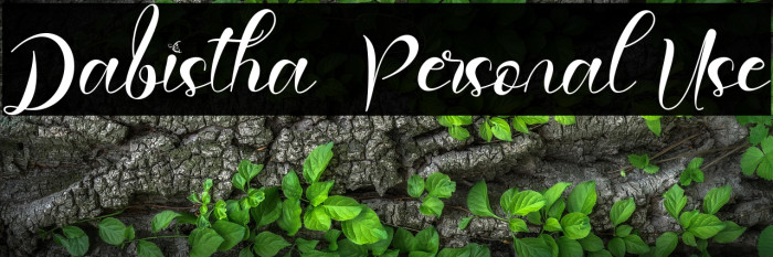 Dabistha - Personal Use Example 3