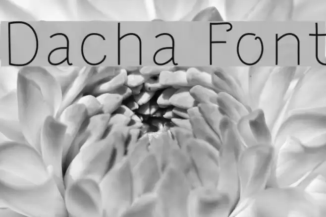 Dacha Font examples