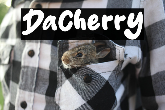 Dacherry Example 2