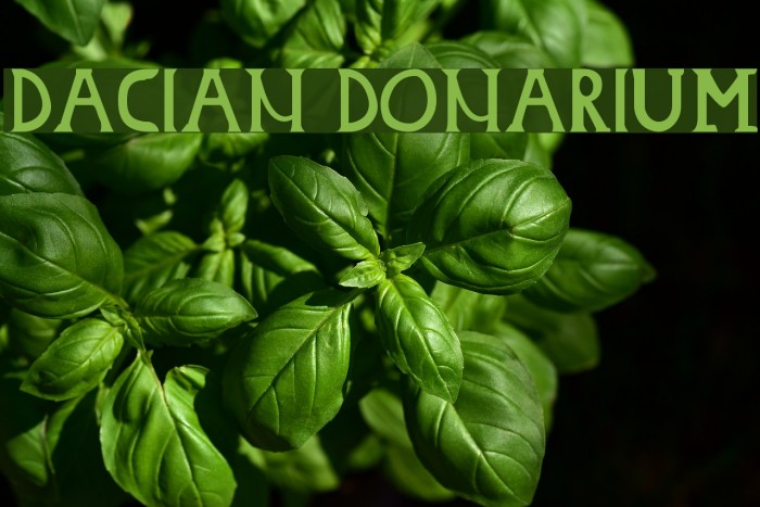 Dacian Donarium Font examples