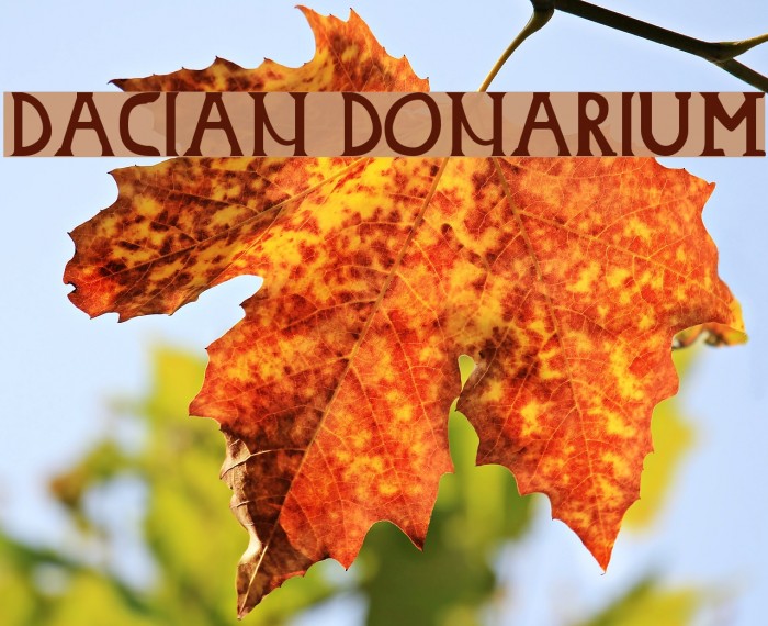 Dacian Donarium Font examples