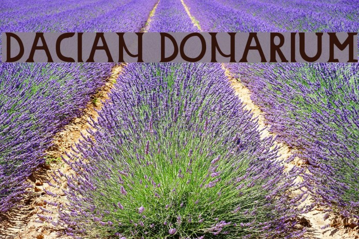 Dacian Donarium Font examples