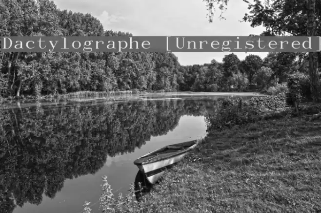 Dactylographe [Unregistered] Шрифта examples