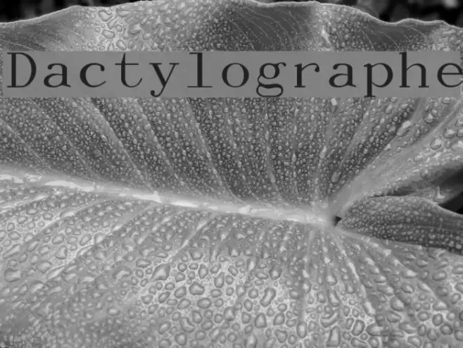 Dactylographe Font examples