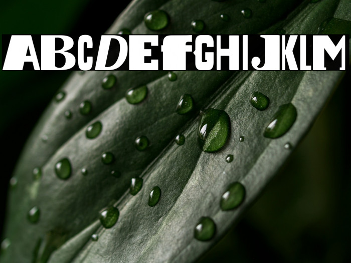 Dada is the new Black Example 1