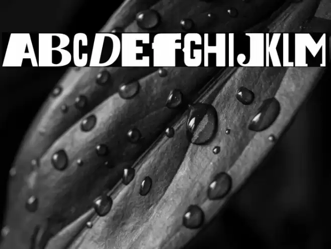 Dada is the new Black फ़ॉन्ट examples