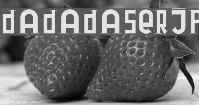 DadaDaSerif Example 1