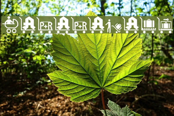 DadadaBats Font examples