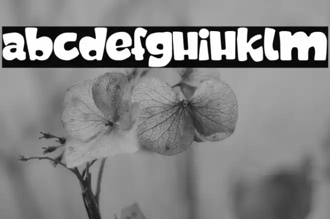 Daddy Cartoon Font examples